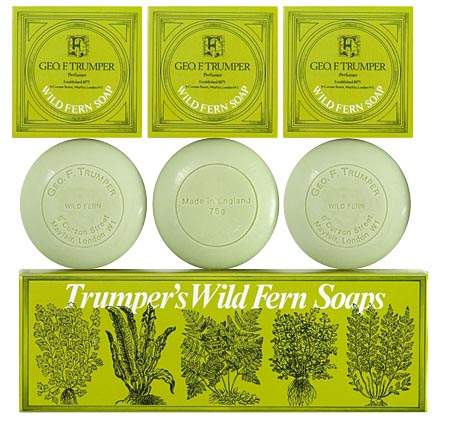 Wild Fern Hand Soaps 3x 75g_2945.jpg